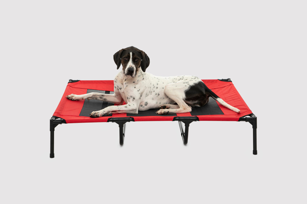 Ruff Dog Elevated Pet Bed With Tent