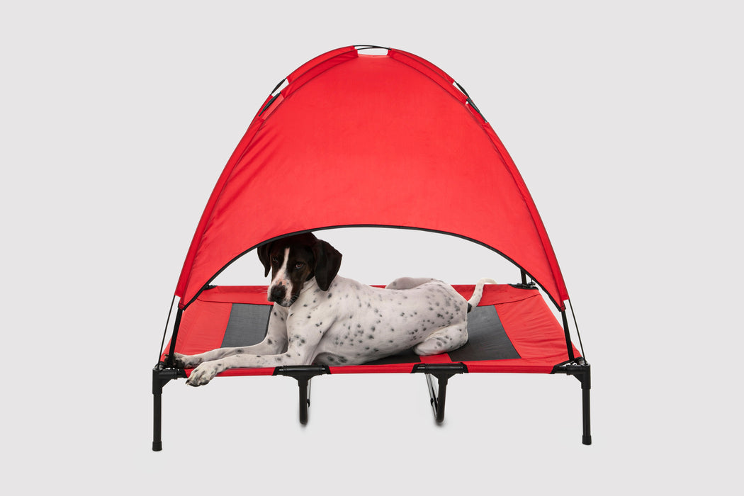 Ruff Dog Elevated Pet Bed With Tent