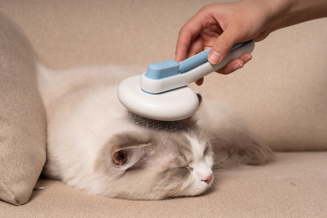 Pet Grooming