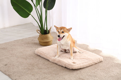 Pet Mat