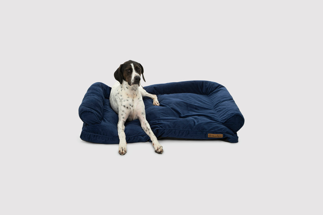 Ripley Corduroy Pet Sofa Bed - Navy in 3 Sizes