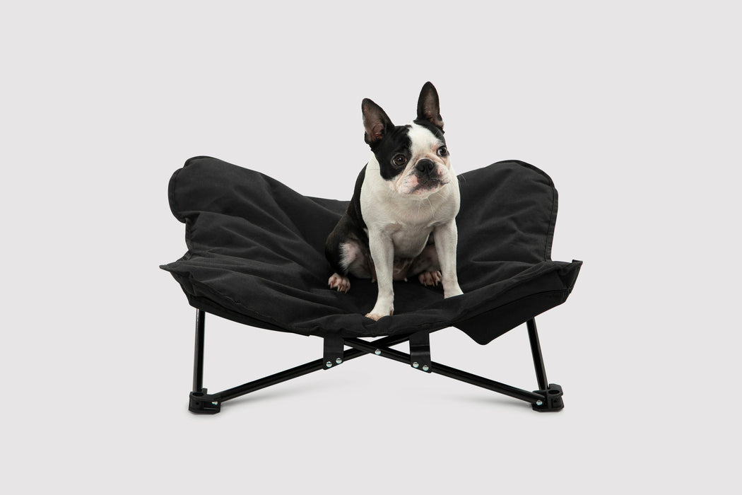 Butterfly Portable Folding Outdoor Pet Bed Chair - Black