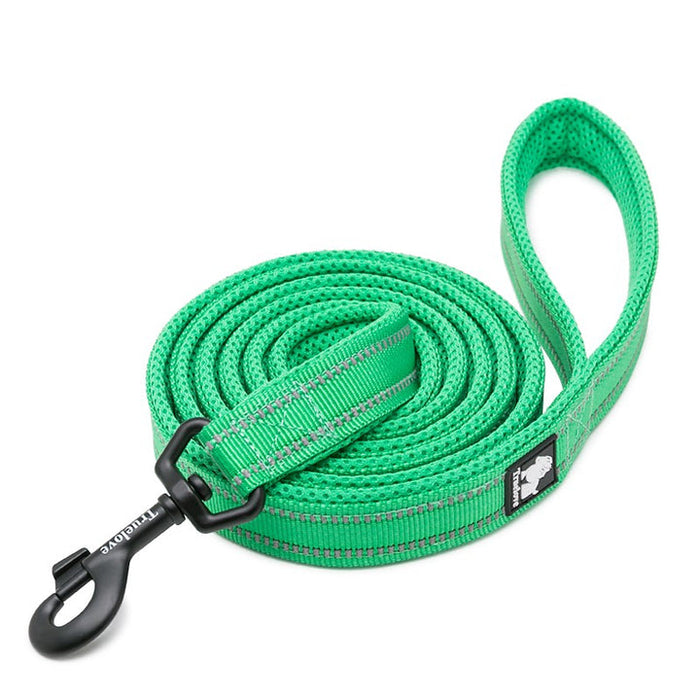 Large Reflective Pet Leash 2 meters Green