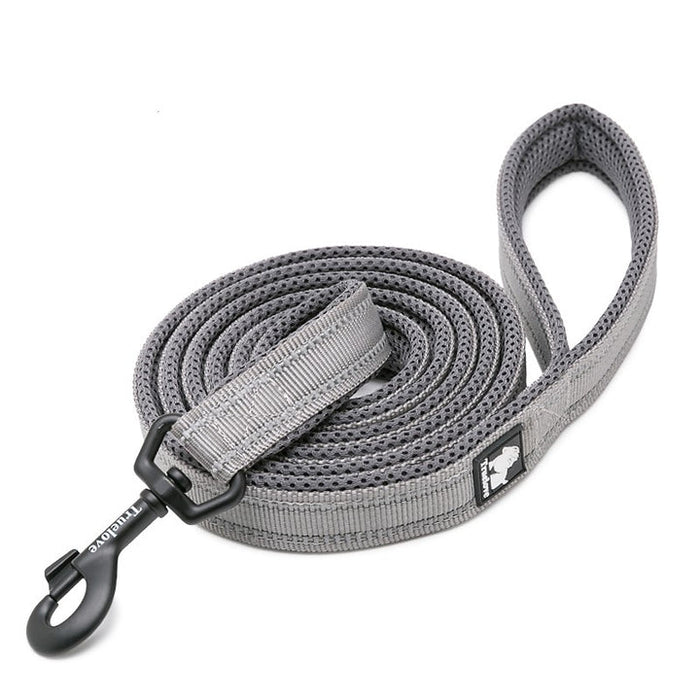 Large Reflective Pet Leash 2 meters Grey