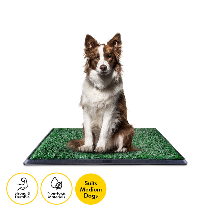 3 Layer Portable Dog Potty Trainer System | Odour Resistant Pet Potty Training