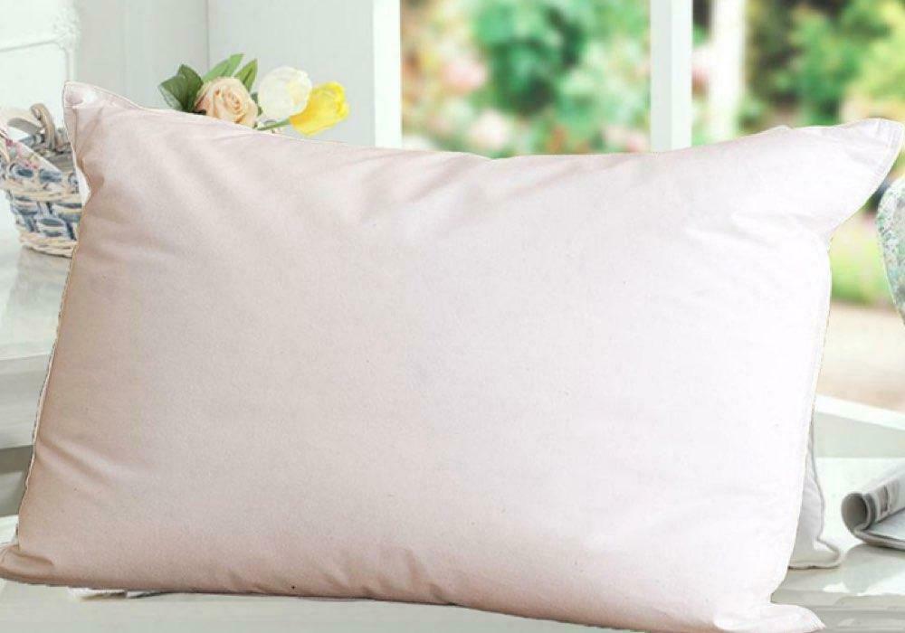 Ramesses Deluxe 30% Down 70% Duck Feather Pillows | 100% Cotton Cover Pillows | Machine Washable